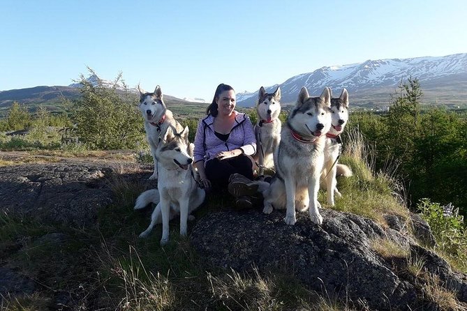 Hiking with Husky in Akureyri (private) - Why This Private Format Feels Like a Real Visit, Not a Crowd