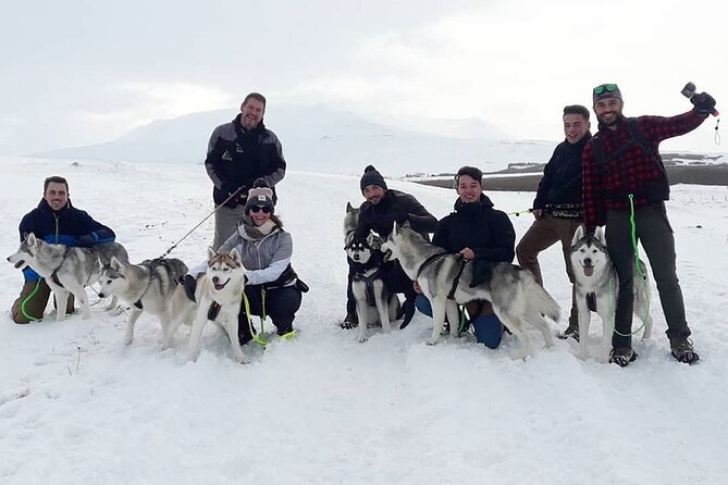 Hiking with Husky in Akureyri (private) - Price, Group Size, and Value at $1,105.35 per Group