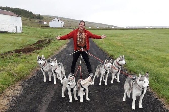 Hiking with Husky in Akureyri (private) - What to Expect if You’re Traveling With Kids (or Knees)