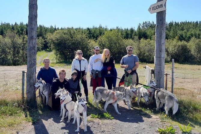 Hiking with Husky in Akureyri (private) - Weather, Timing, and When Hiking Might Swap to Sledding