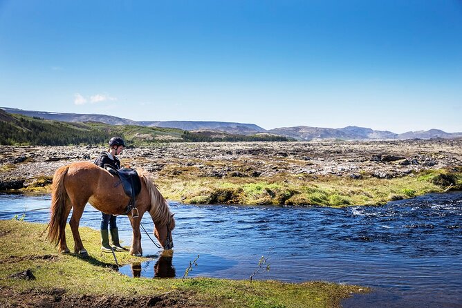 Horseback Riding Tour in Iceland - Key highlights to look for at Ishestar