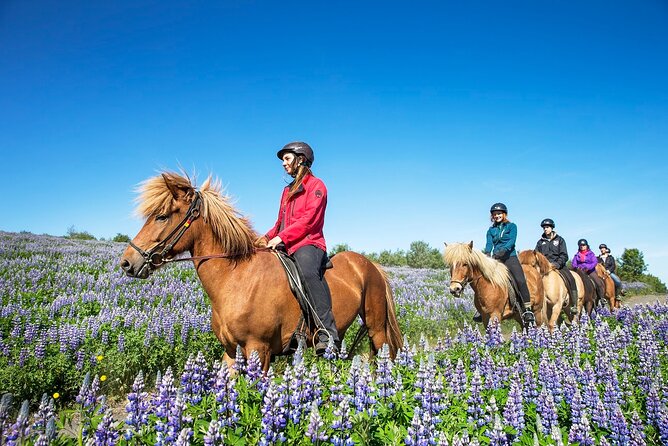 Horseback Riding Tour in Iceland - What it feels like to ride an Icelandic horse (and get real coaching)