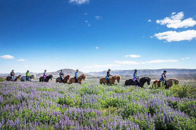 Horseback Riding Tour in Iceland - Why the guide experience is the real selling point