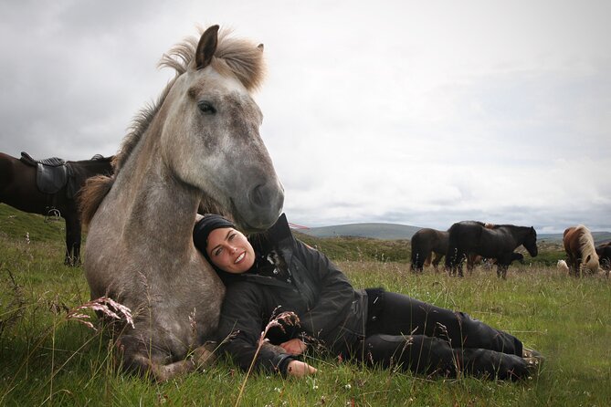 Horseback Riding Tour in Iceland - Price and value: is $135.16 worth 50 minutes?