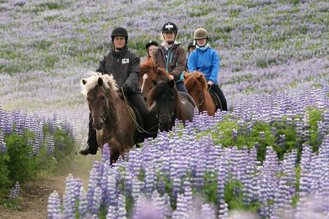 Horseback Riding Tour in Iceland - Timing, weather, and what to wear