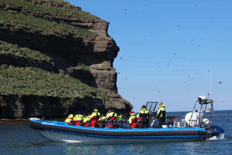 Húsavík: Original Big Whale Safari & Puffins by Speedboat - Guide and Captain Quality: The Difference Between Seeing One Spray and Enjoying the Whole Hunt