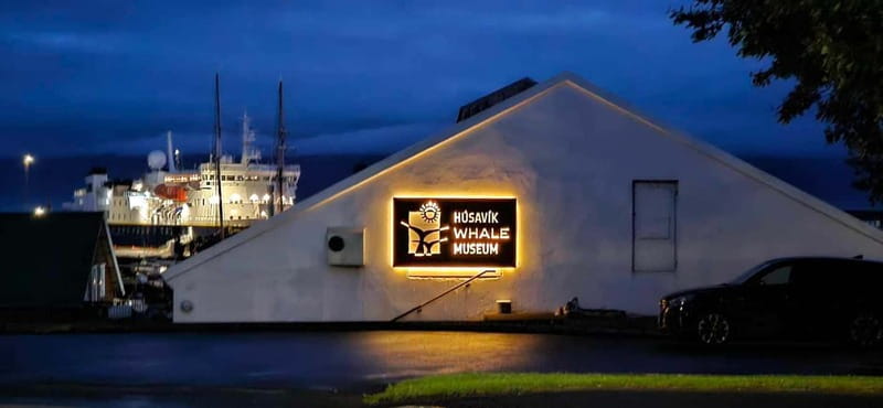 Húsavík: Whale Museum Entry Ticket - Whale Senses, Behavior, and Mating Patterns: The Science in Plain English