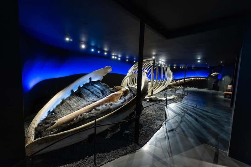 Húsavík: Whale Museum Entry Ticket - Iceland Whaling History and Conservation, Plus a Souvenir That Feels Like Support