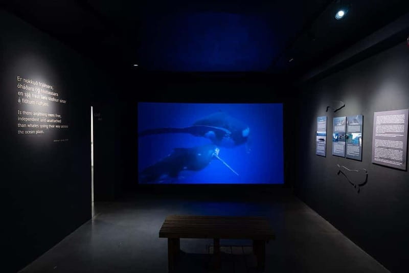 Húsavík: Whale Museum Entry Ticket - FAQ