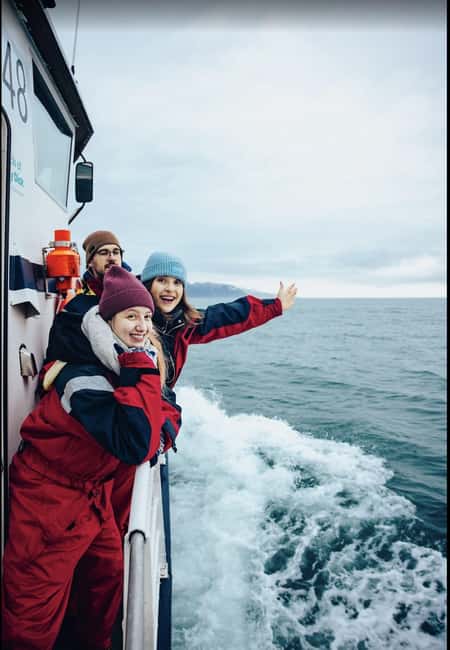 Húsavík: Whale Watching - Family Run with Indoor Seats - Key highlights to know before you go