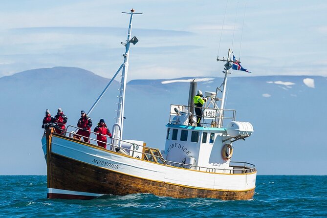 Húsavík Whale Watching Tour, family owned and operated - Key things to know before you go