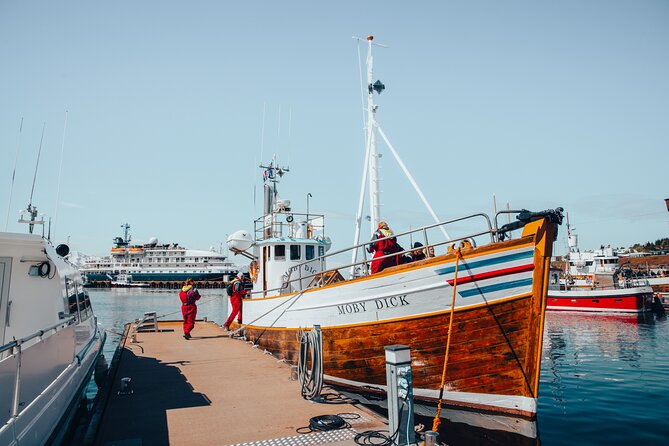 Húsavík Whale Watching Tour, family owned and operated - What happens during the full 3 hours on Moby Dick