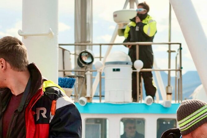 Húsavík Whale Watching Tour, family owned and operated - Whale watching reality check, plus what species you might see