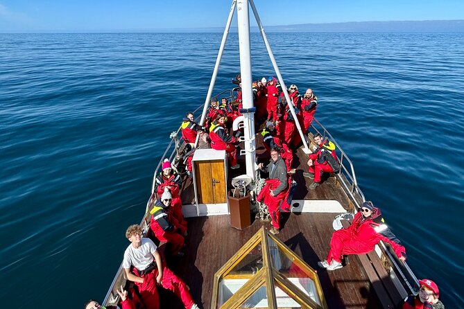 Húsavík Whale Watching Tour, family owned and operated - Spotting support from Mada and the captain’s approach