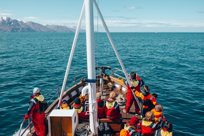 Húsavík Whale Watching Tour, family owned and operated - Gear that actually helps: overalls, life jackets, and staying warm