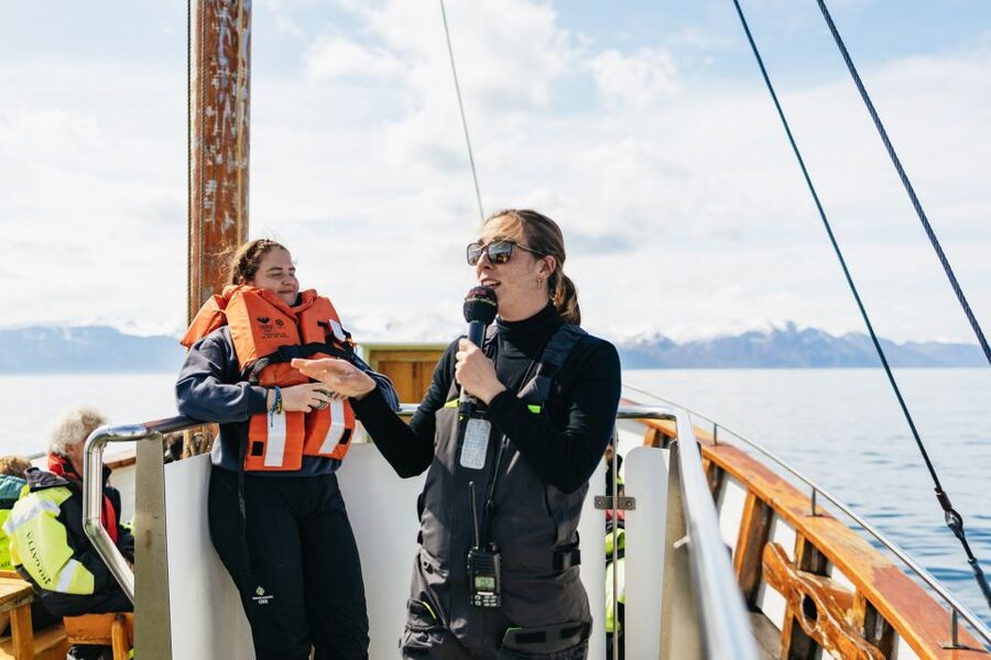 Húsavík: Whale Watching Tour with Guide - Key things I’d prioritize on this tour