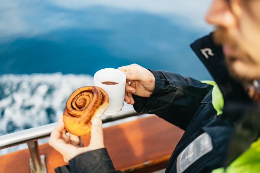 Húsavík: Whale Watching Tour with Guide - Price and value: is $115 worth it in real terms?