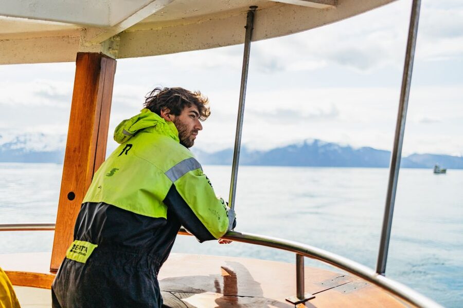 Húsavík: Whale Watching Tour with Guide - What you should realistically expect to see: whales, dolphins, sea birds