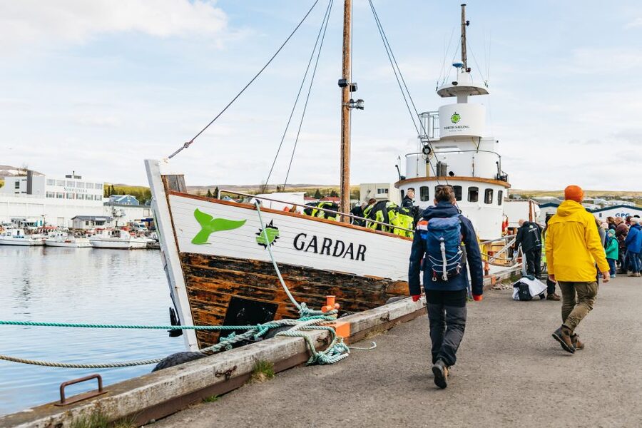 Húsavík: Whale Watching Tour with Guide - The boat experience: oak ship comfort, viewing space, and safety