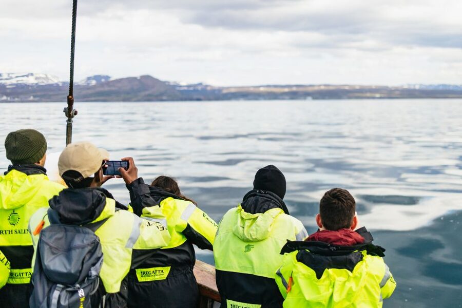 Húsavík: Whale Watching Tour with Guide - When seas get bumpy: motion sickness tips that actually help