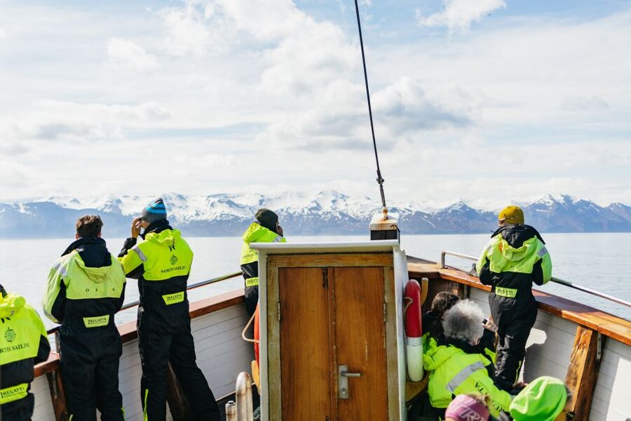 Húsavík: Whale Watching Tour with Guide - Flexibility on wildlife days: what happens if sightings are low