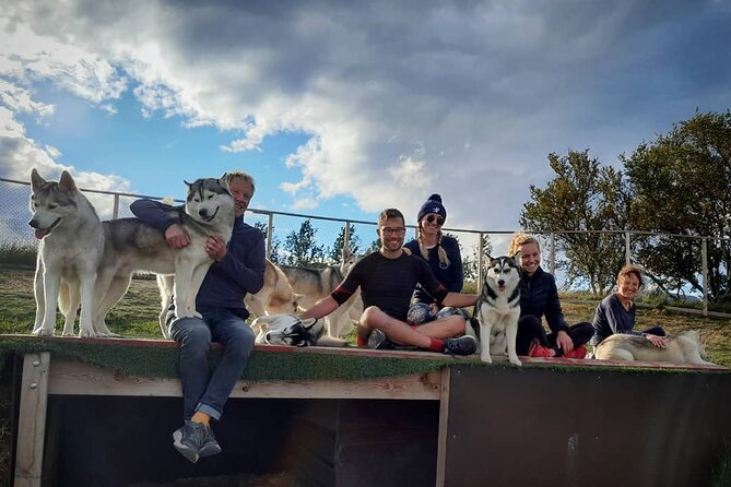 Husky Petting in Akureyri (private) - A Husky Hangout Outside Akureyri That Feels Like Visiting a Local Kennel