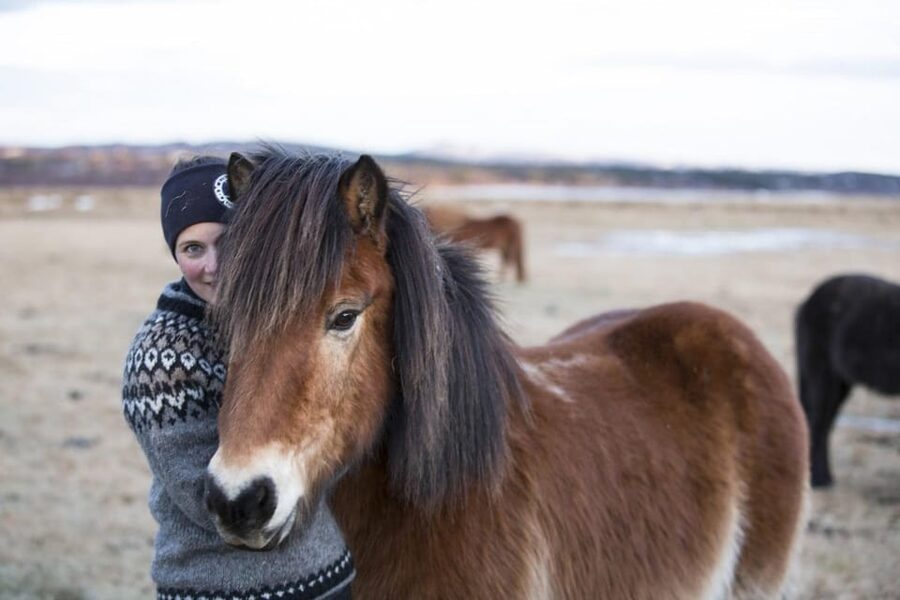 Hveragerdi: Countryside Charm Horse Riding Tour - Price and Value: Is $96 Worth It for a One-Hour Ride?