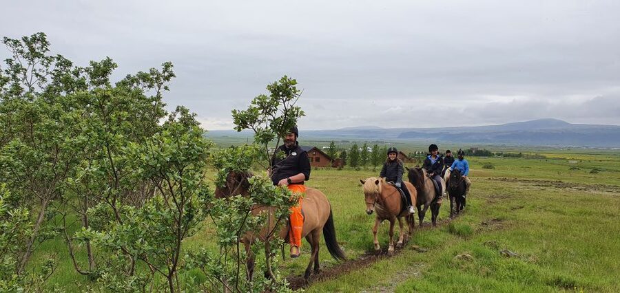 Hveragerdi: Reykjadalur (Hotspring Valley) Horse Riding Tour - Key things to know before you go
