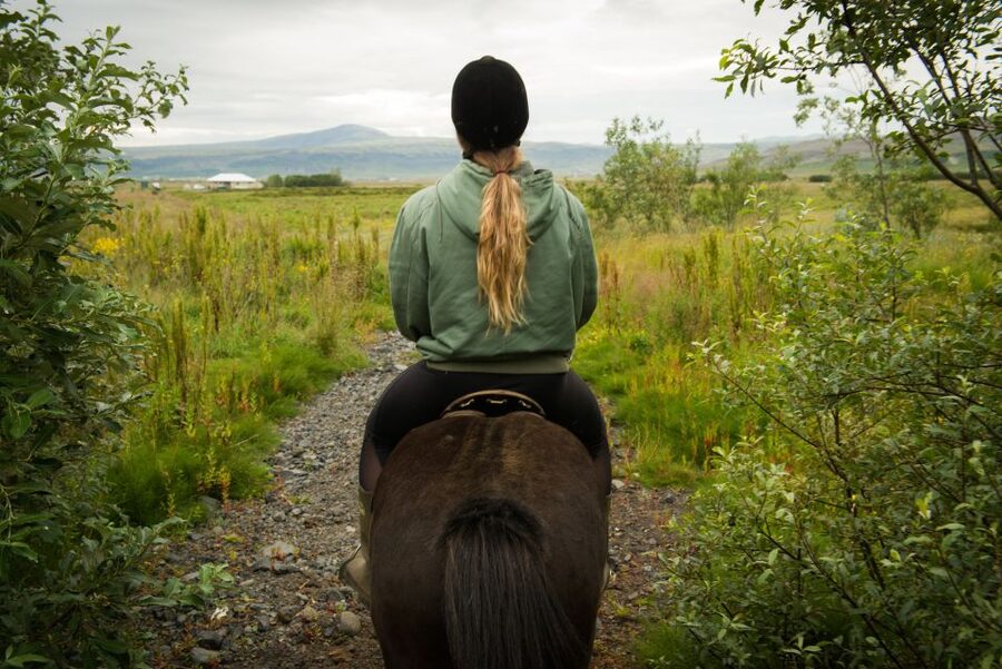 Hveragerdi: Reykjadalur (Hotspring Valley) Horse Riding Tour - Meeting the horses, and why Icelandic breeds feel different