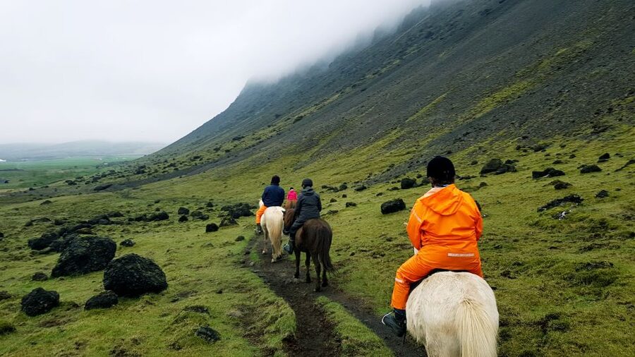 Hveragerdi: Reykjadalur (Hotspring Valley) Horse Riding Tour - Timing and the flow of the 2-hour experience