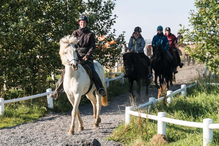 Hveragerdi: The Siggi Horse Riding Tour - Key Things I’d Plan Around