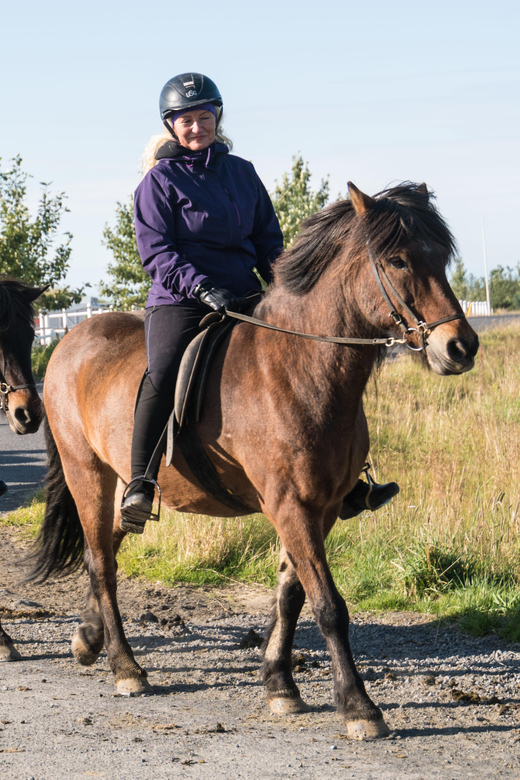 Hveragerdi: The Siggi Horse Riding Tour - Riding Through Meadows, Lava, and Farms Near Ölfus
