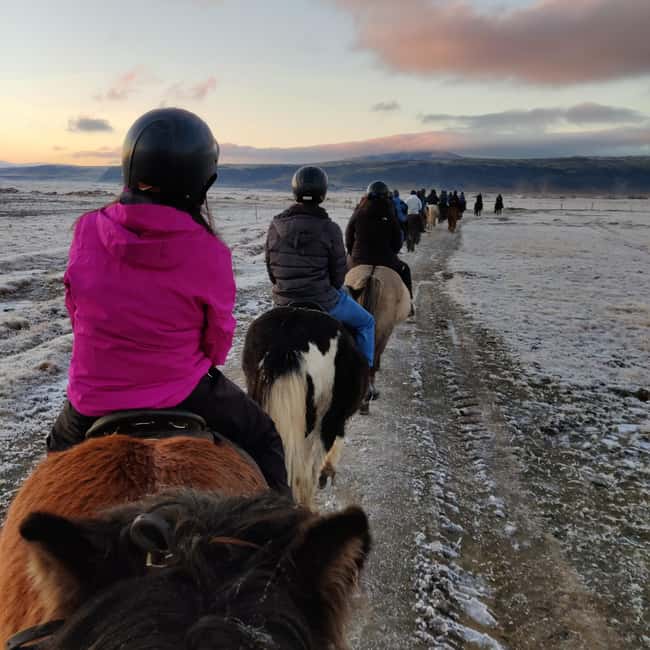 Hveragerdi: The Siggi Horse Riding Tour - The Route Depends on Weather and Wind, and That’s a Good Thing