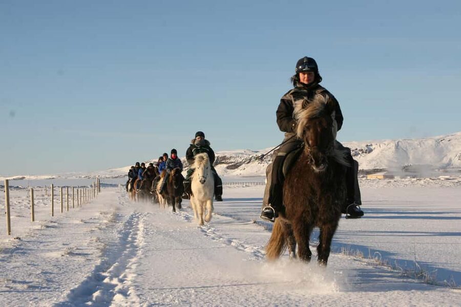 Hveragerdi: The Siggi Horse Riding Tour - Tölt Practice: What It Feels Like and How to Get the Most From It