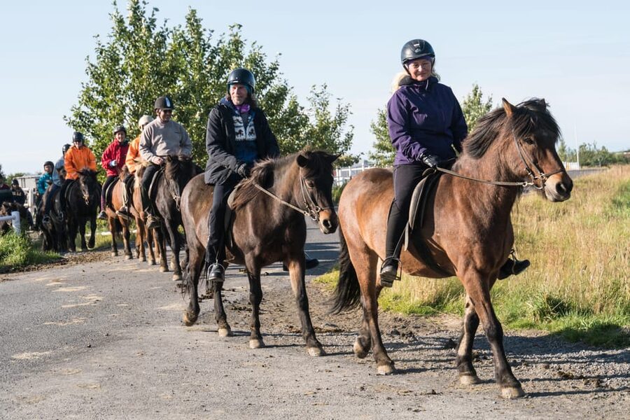 Hveragerdi: The Siggi Horse Riding Tour - Gear and Clothing: What They Provide, What You Should Bring