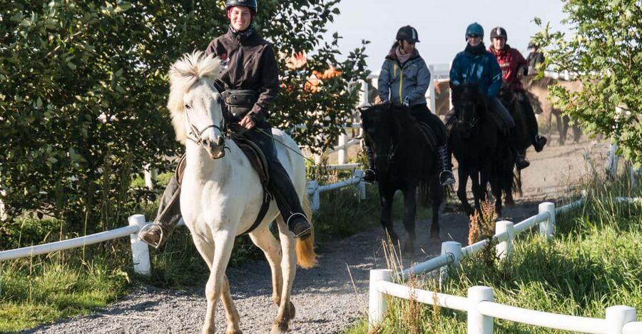 Hveragerdi: The Siggi Horse Riding Tour - Price and Value: Is $136 a Fair Deal?