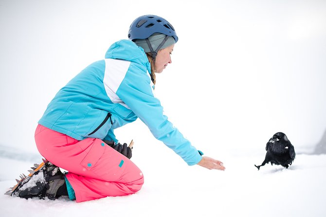 Ice Cave Captured - Professional Photos Included - Price in context: is $216.26 a good deal?