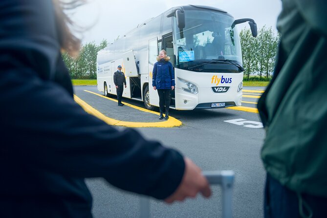 Iceland: Airport Transfer Between Reykjavík Center and Keflavík - Price and Value: Why $34 Can Be the Smart Move