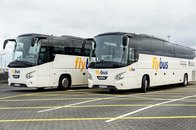 Iceland: Airport Transfers between Keflavik and Reykjavik Hotels - Key Highlights Worth Noting