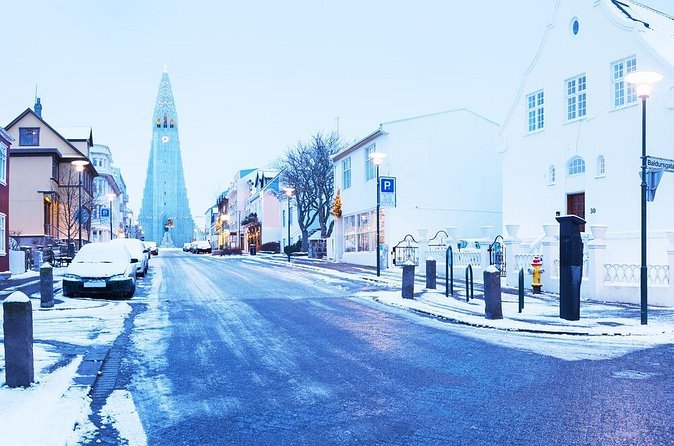 Iceland's Christmas Myths and Traditions - Reykjavík walking tour - Stop 2: Einar Jónsson sculpture museum garden and holiday atmosphere