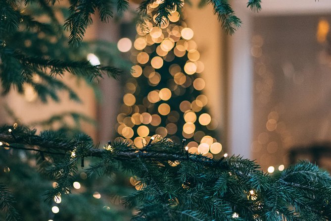 Iceland's Christmas Myths and Traditions - Reykjavík walking tour - Price and value for $42.72 in about 90 minutes