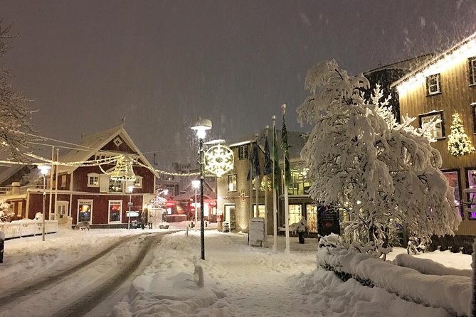 Iceland's Christmas Myths and Traditions - Reykjavík walking tour - What kind of traveler should book this?