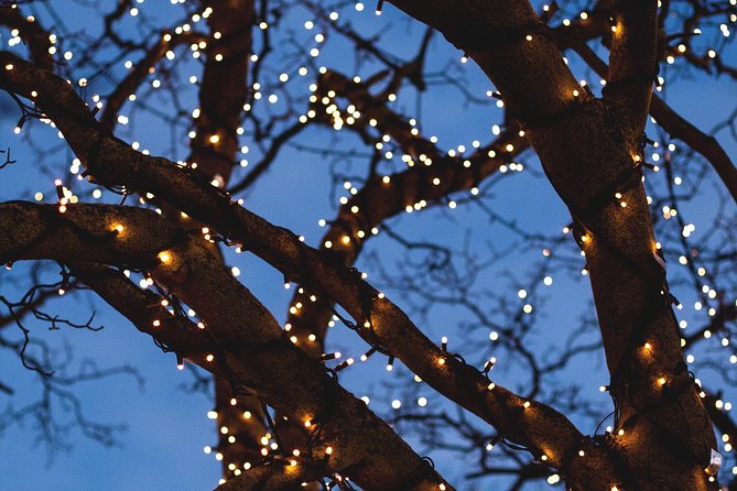 Iceland's Christmas Myths and Traditions - Reykjavík walking tour - Stop 1: Hallgrimskirkja inside, architecture plus season stories