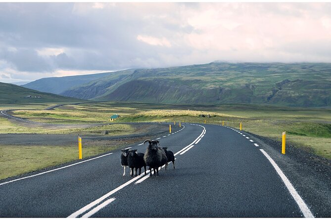 Iceland South Coast Tour with Pickup - Solheimajokull Glacier: See It Up Close and Put a Foot On It