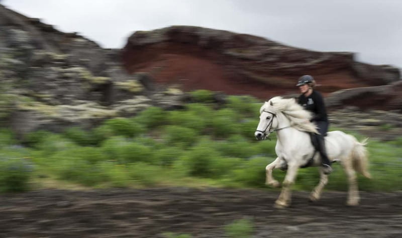 Iceland: Volcanic Landscape Horse Riding Tour - Trying the Tölt: The Icelandic Gait That Feels Different