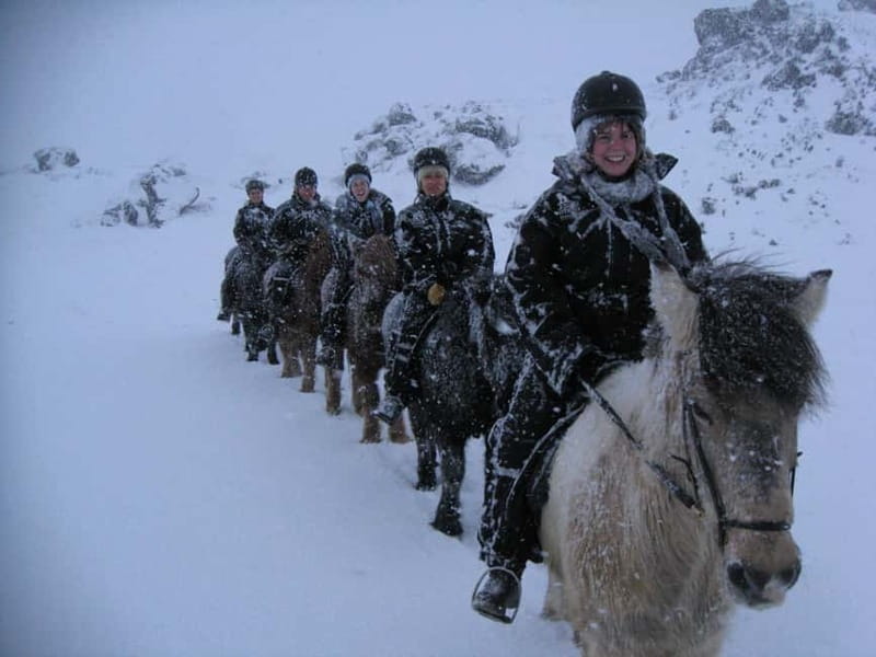 Iceland: Volcanic Landscape Horse Riding Tour - Riding Across Volcanic Terrain With a Calm, Small-Group Flow