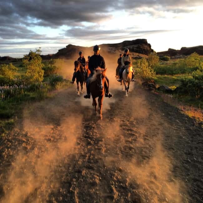 Iceland: Volcanic Landscape Horse Riding Tour - Timing, Transportation, and the Meeting Point Reality Check