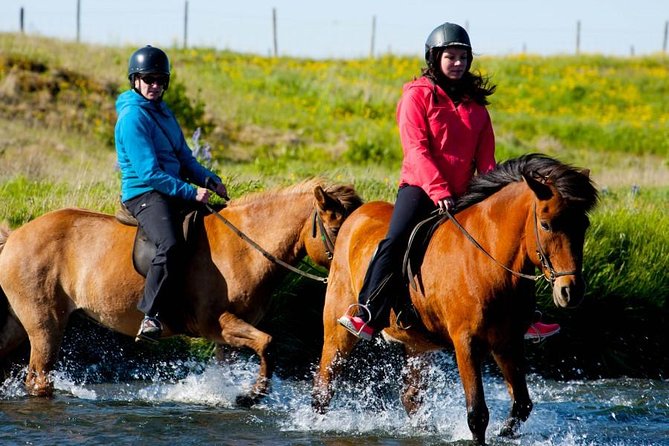 Icelandic Horse Riding and Whale Watching Cruise from Reykjavík - The meeting points and timing that keep your day smooth