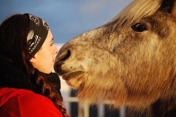 Icelandic Horse Riding and Whale Watching Tour from Reykjavik - How Guides Keep You Safe and Confident on the Trail