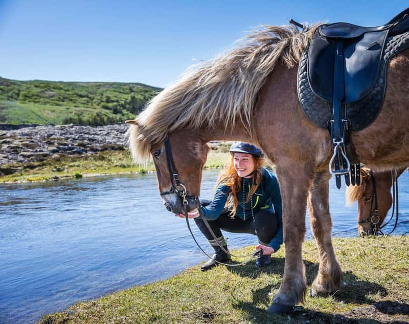 Icelandic Horse Riding Tour & Pickup Option from Reykjavik - Key things I’d plan around